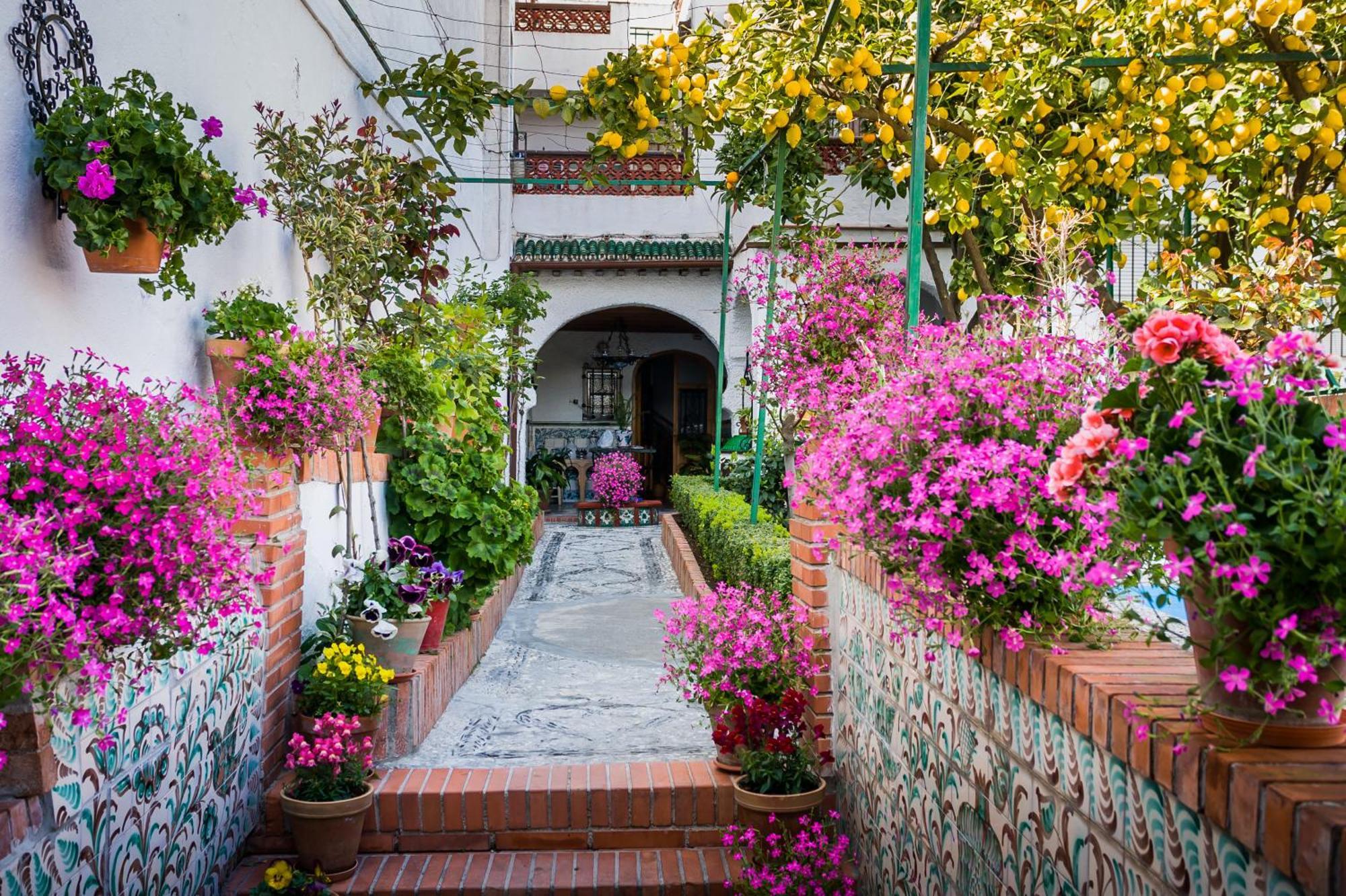 Апартаменты Grazaries -Piso Centrico Granada- Экстерьер фото